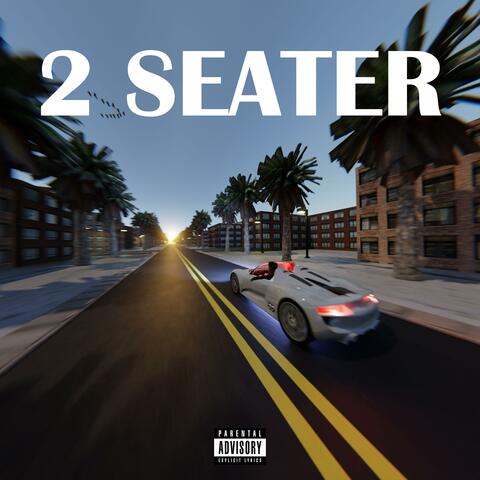2 SEATER