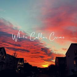 White Collar Crime