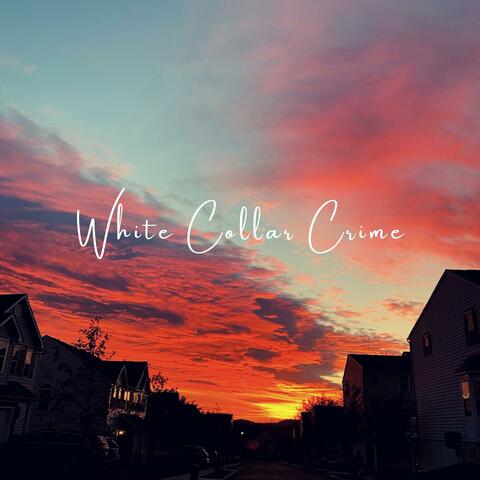 White Collar Crime