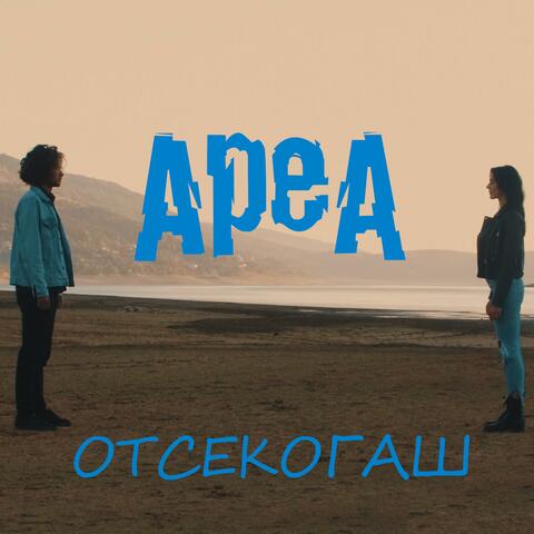 Otsekogas