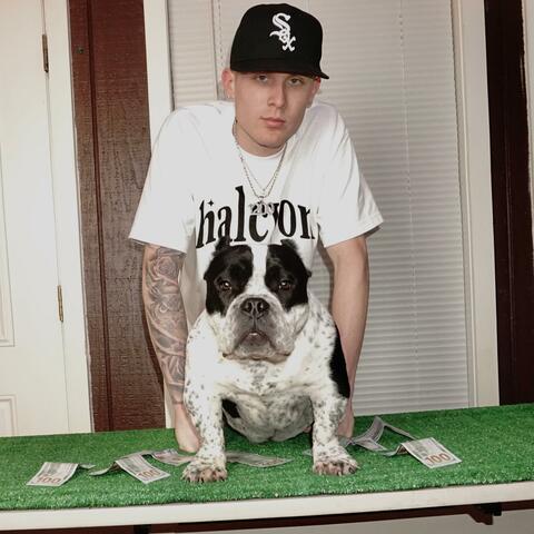 Dog Money