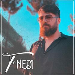 Te Nedi