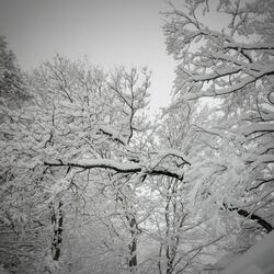 Snow and Fire (Winter 2020)