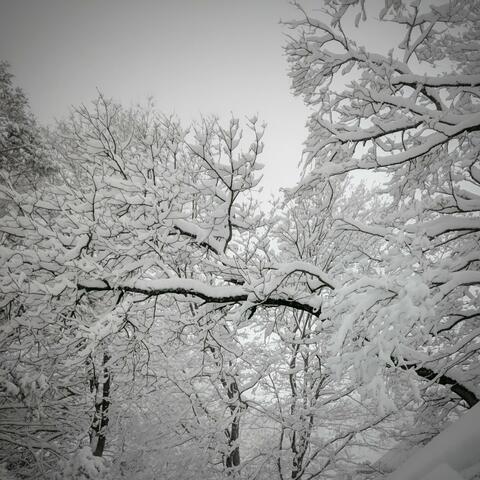 Snow and Fire (Winter 2020)