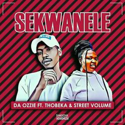 Sekwanele (feat. Thobeka & Street Volume)