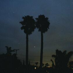 on nights like these i'm happy i don't own a gun. (feat. goul)