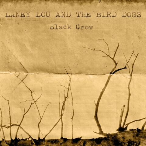 Black Crow