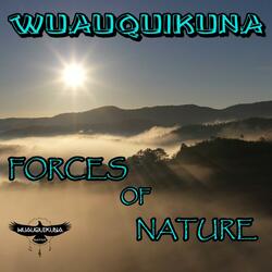 Forces of Nature