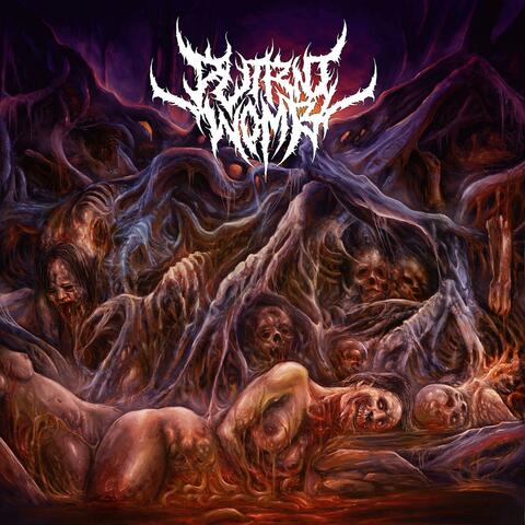 Dissolution of the Wicked