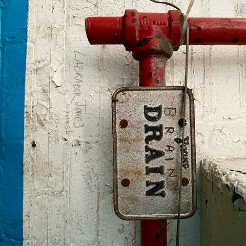 Brain Drain