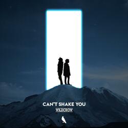 Can't Shake You