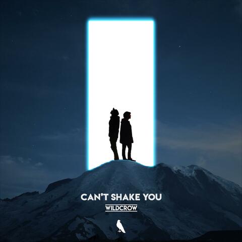 Can't Shake You