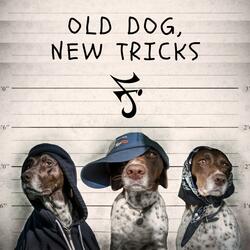 Old Dog, New Tricks (feat. Tek Luciano & Itz Midnite)