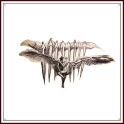 9 ANGELZ