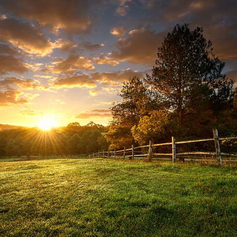 The Art of Creation