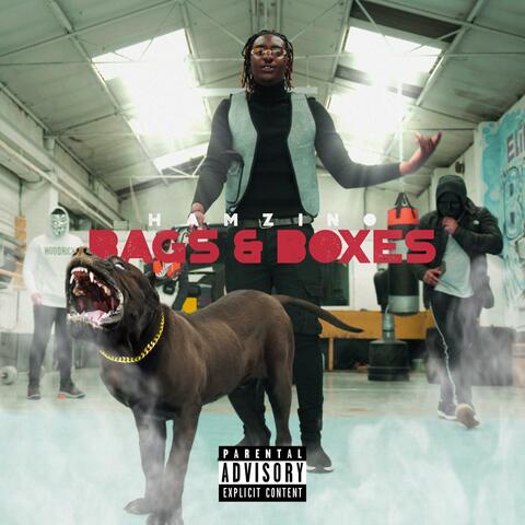 Hamzino (Bags & Boxes)