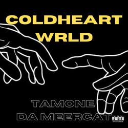 COLDHEART WRLD.