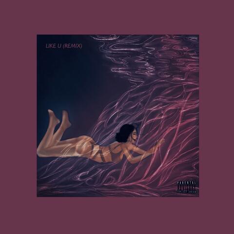 Like u (feat. Svirgo19) [Remix]
