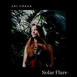 Solar Flare