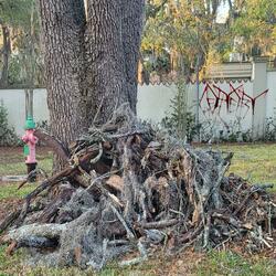 Some Kind Of Hero Thief