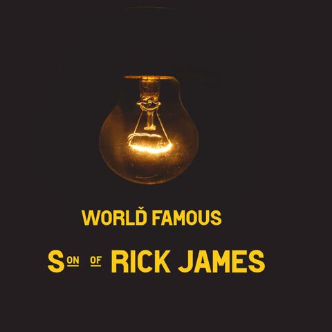 SON OF RICK JAMES