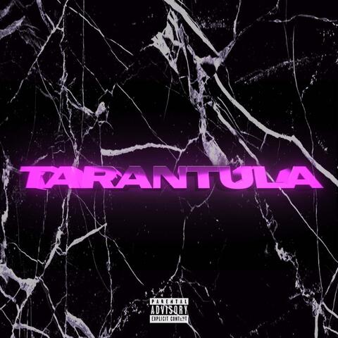 Tarantula (feat. Bang3s)