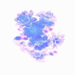 Serendipitous Disaster