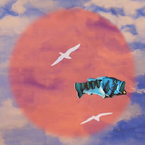 Gone Shrimping
