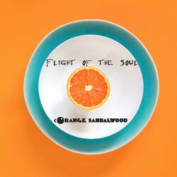 Flight of the Soul