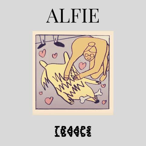 Alfie