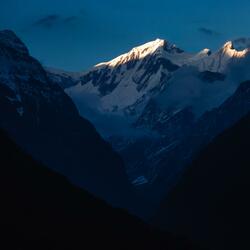 Fall Asleep With Night Ambience