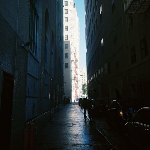 sidewalkpalms. (196)