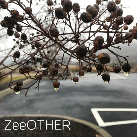 Tennessee Rain Drops