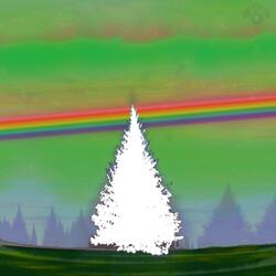 EVERGREEN TREE
