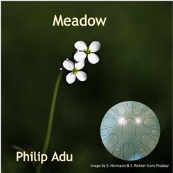 Meadow