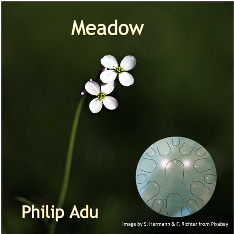 Meadow