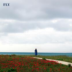 Fly