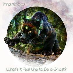 What's It Feel Like to Be a Ghost?