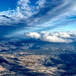 Tame