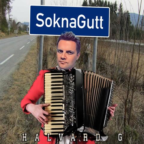 SoknaGutt