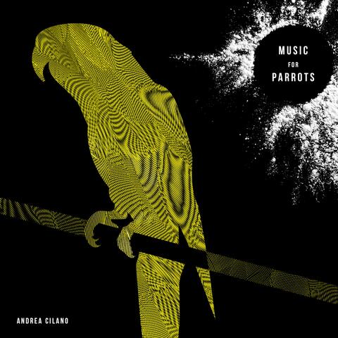 Music for Parrots
