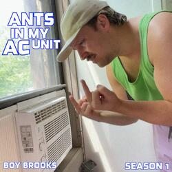 Ants in my AC Unit (Parts I - IV)