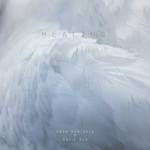 Healing (feat. Ardie Son)