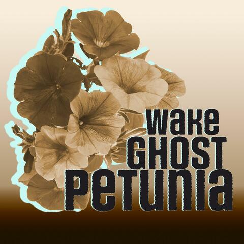 Petunia