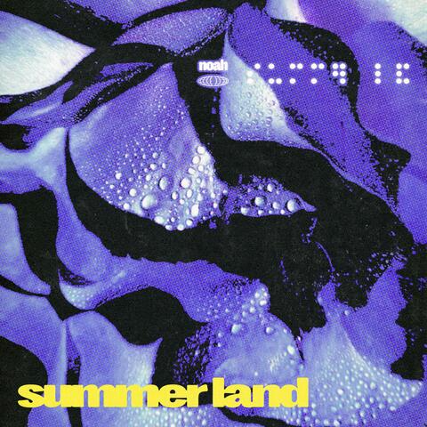 Summer land