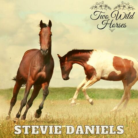 Two Wild Horses