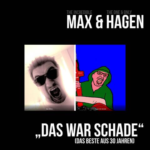 Das war Schade (das Beste aus 30 Jahren)