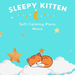 Beautiful Calm Piano Tones