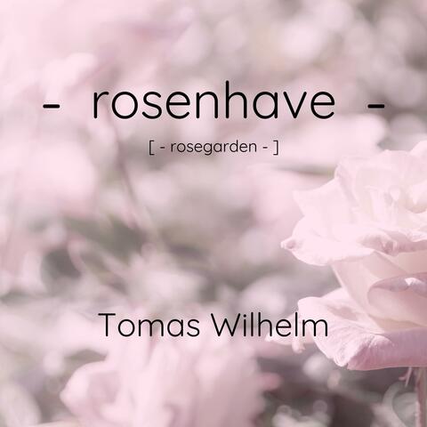 Rosenhave (rosegarden)