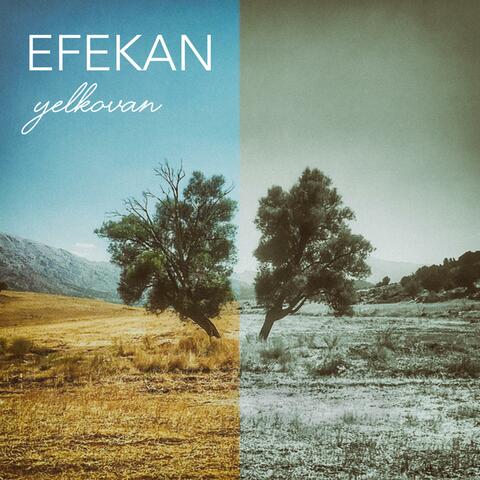 Yelkovan